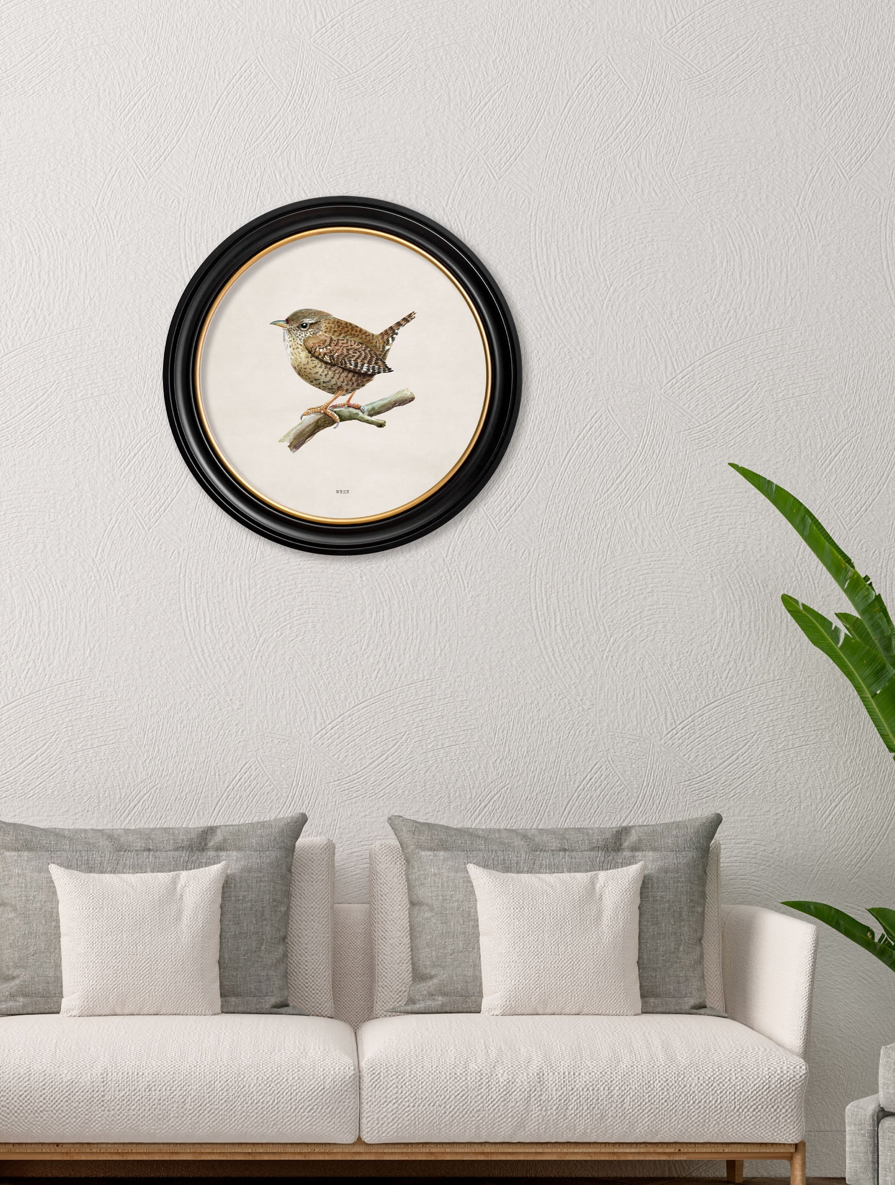 Wren | British Bird Art Print in Round Frame