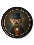 Lord Barkley of York - Gentleman Yorkshire Terrier Oxford Round Frame