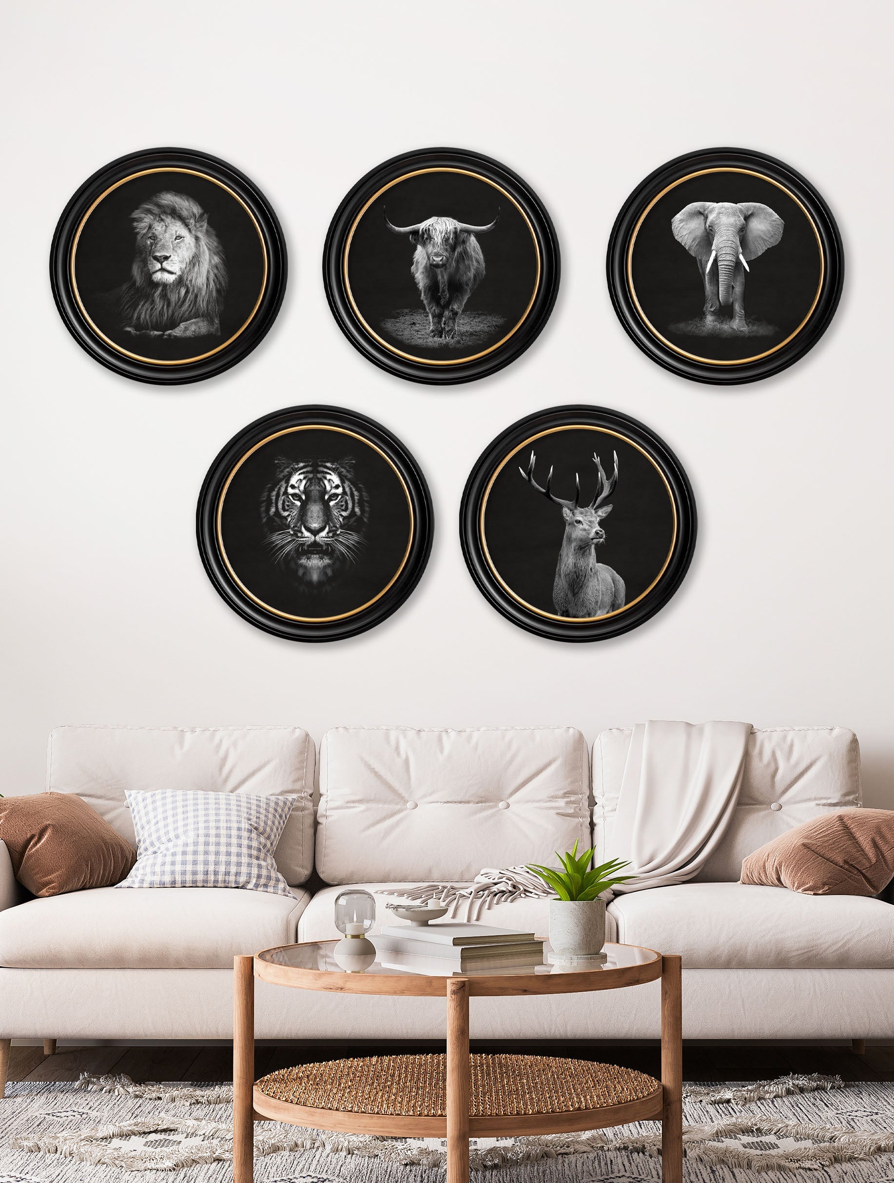 Set of six wall art pieces with animal portraits in black frames on a white wall above a sofa.