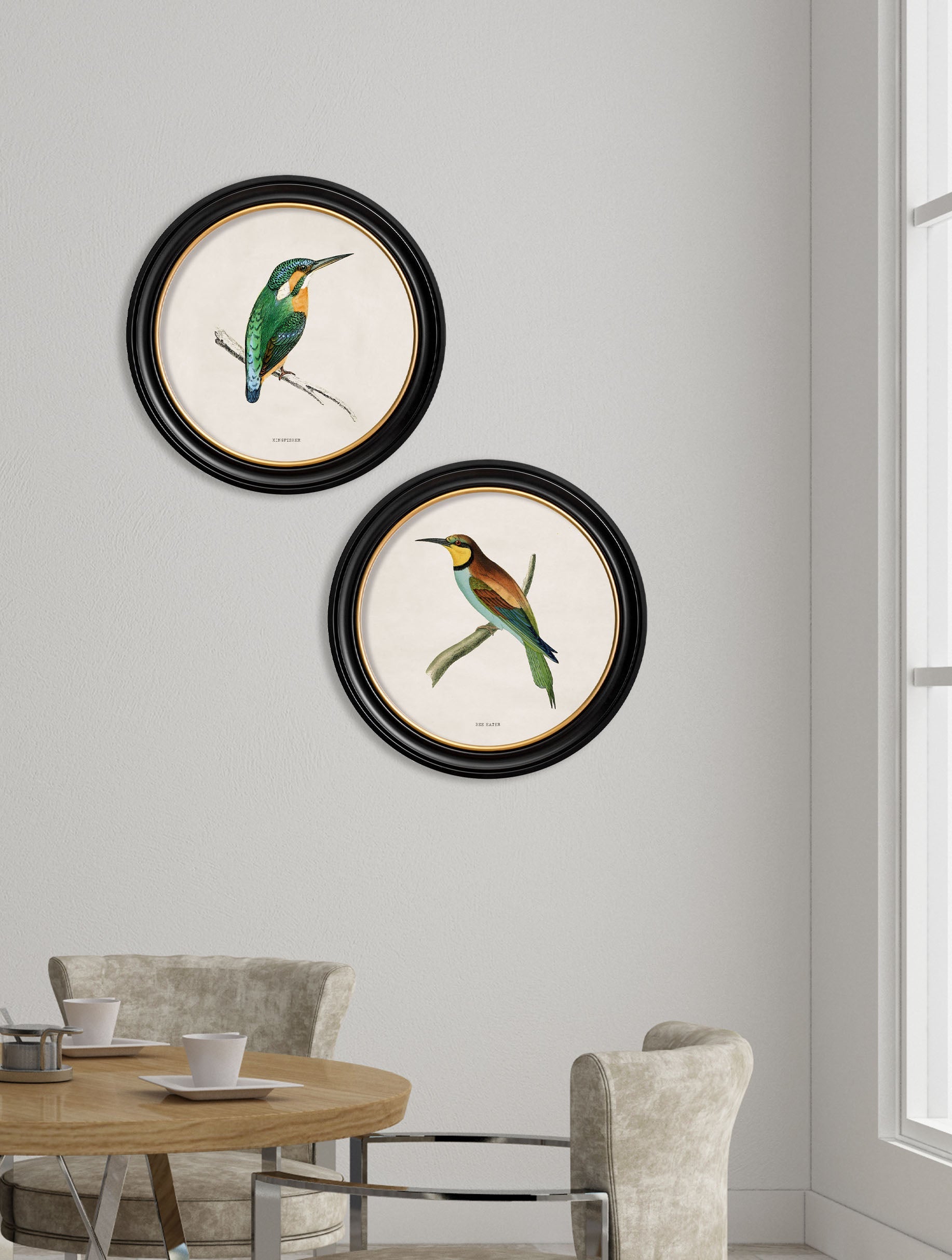 c.1870 Kingfisher and Bee Eater