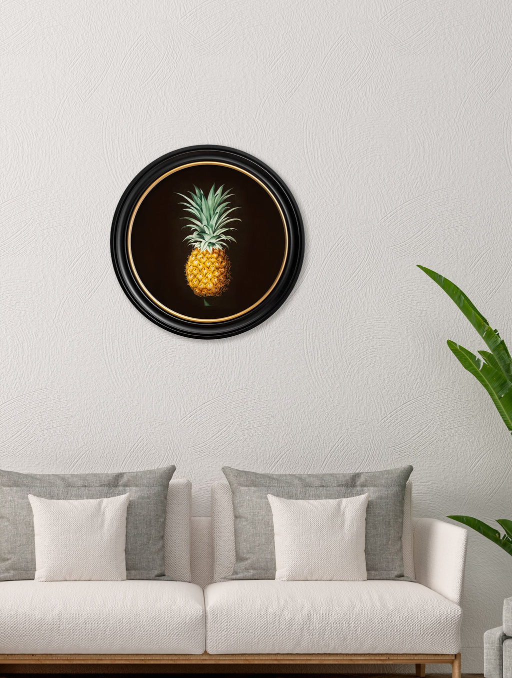 c.1812 Pineapple Study | Vintage Botanical Art Print in Round Frame