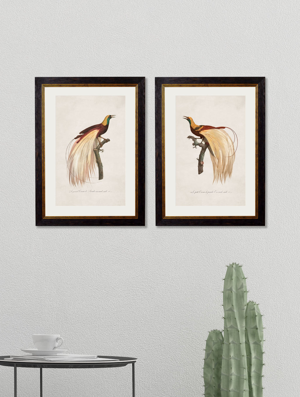 c.1809 Birds of Paradise