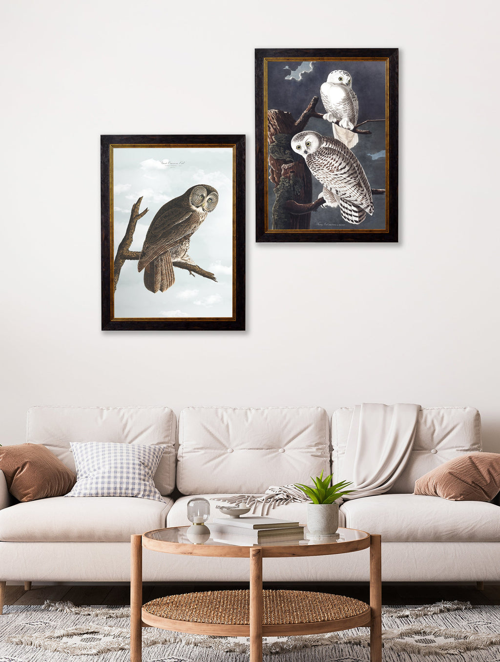 c.1838 Audubon's Owls