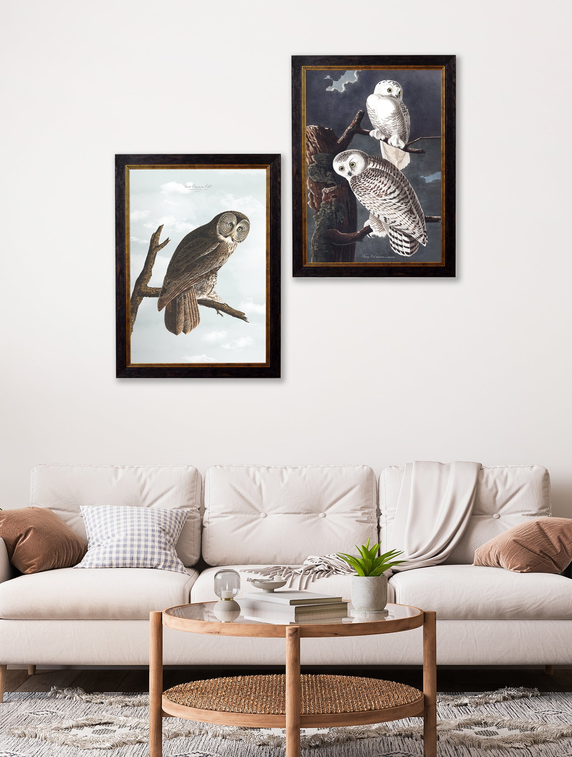 c.1838 Audubon's Owls