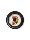 c.1843 Chocolate Plant - Round Frame