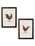c.1838 Junglefowl | Vintage Bird Print in Oxford Slim Frame