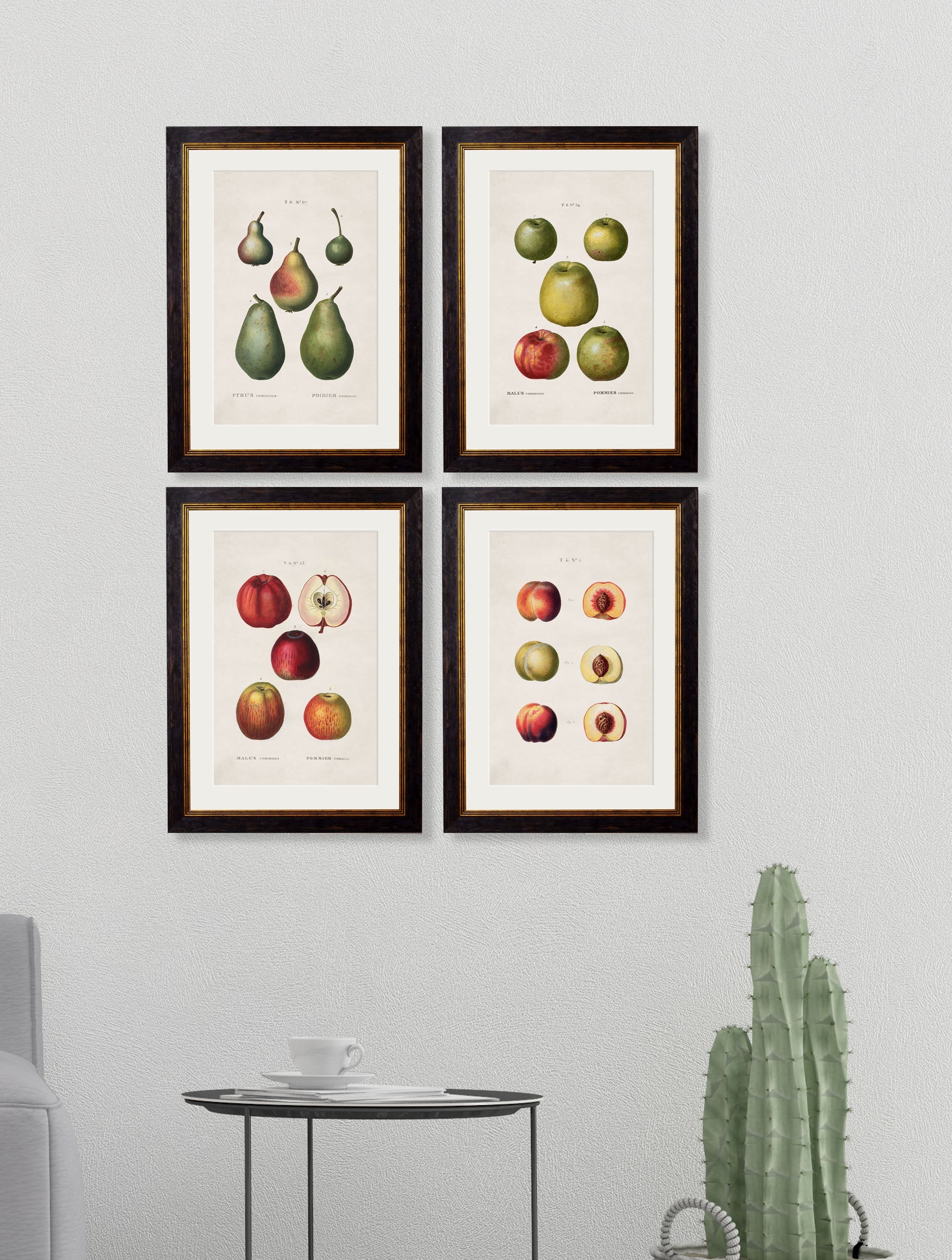 c.1819 Study of British Fruit | Vintage Botanical Framed Print