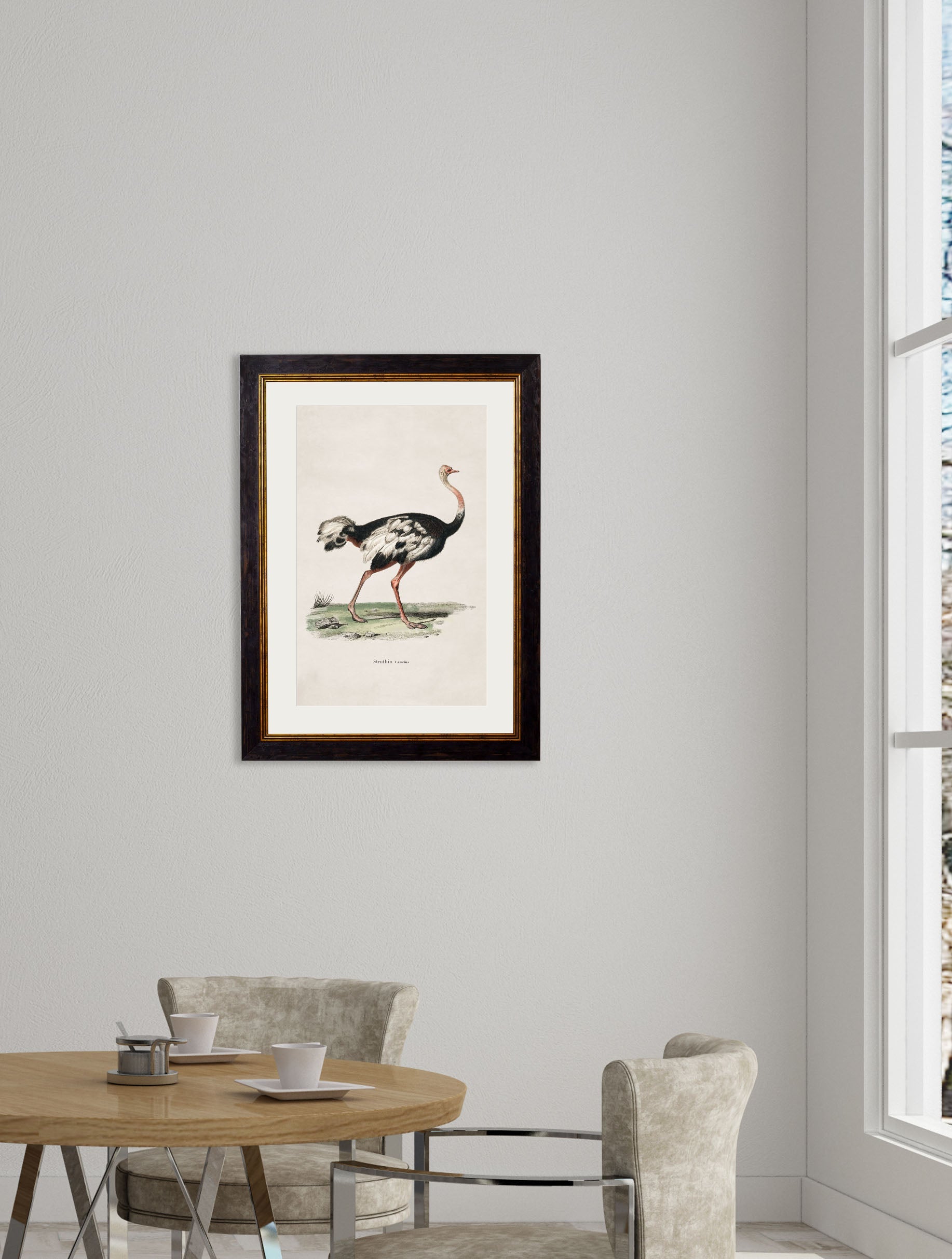 c.1846 Ostrich
