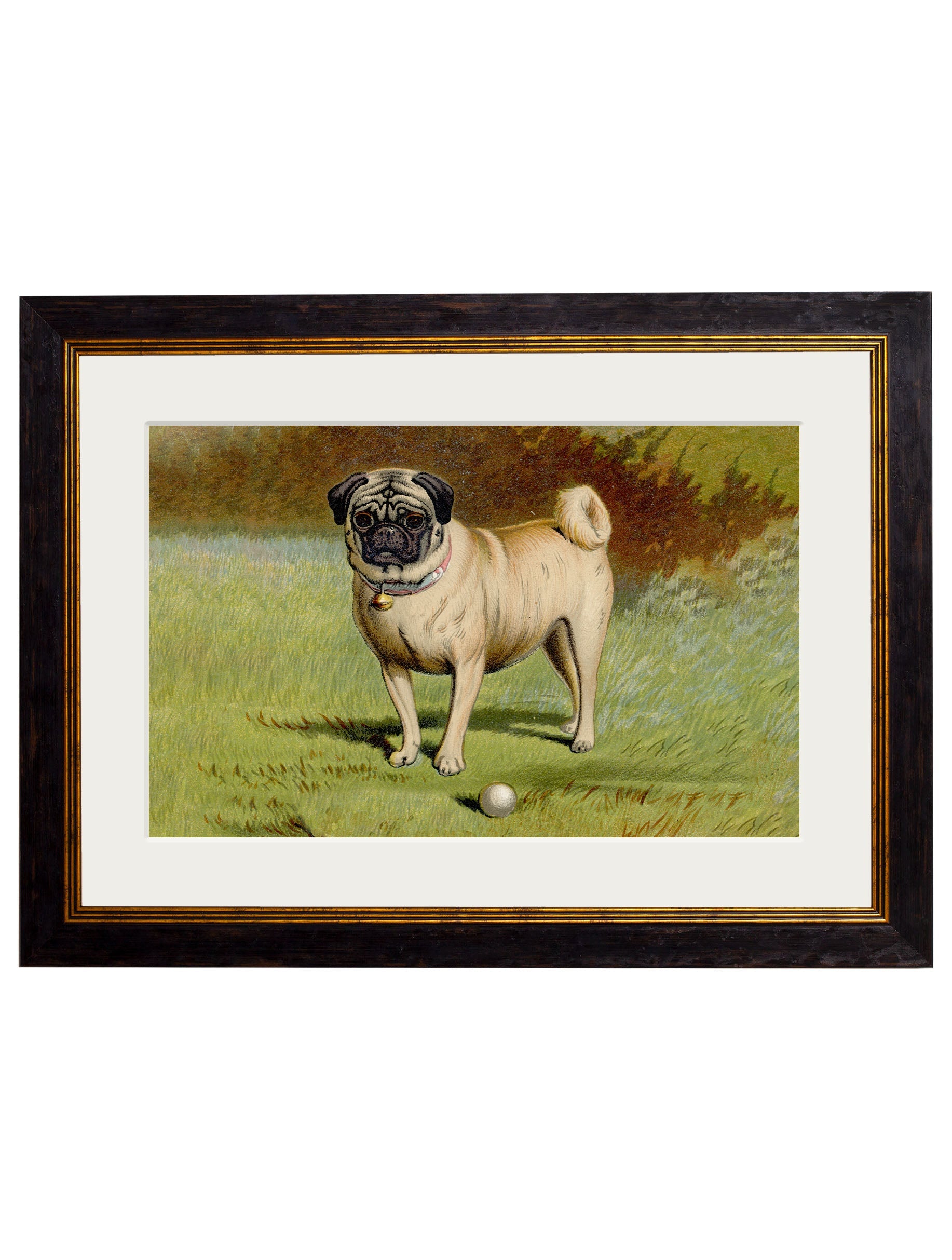 c.1881 Dogs