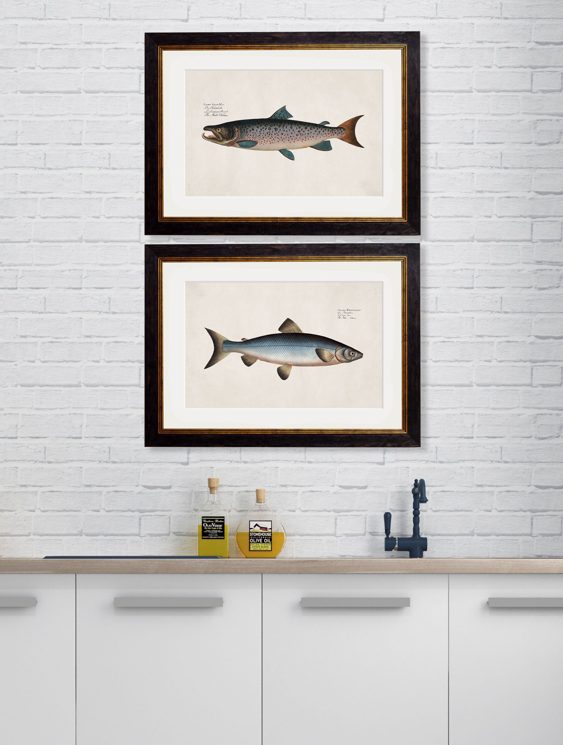 c.1785 Studies of Salmon | Vintage Natural History Framed Print