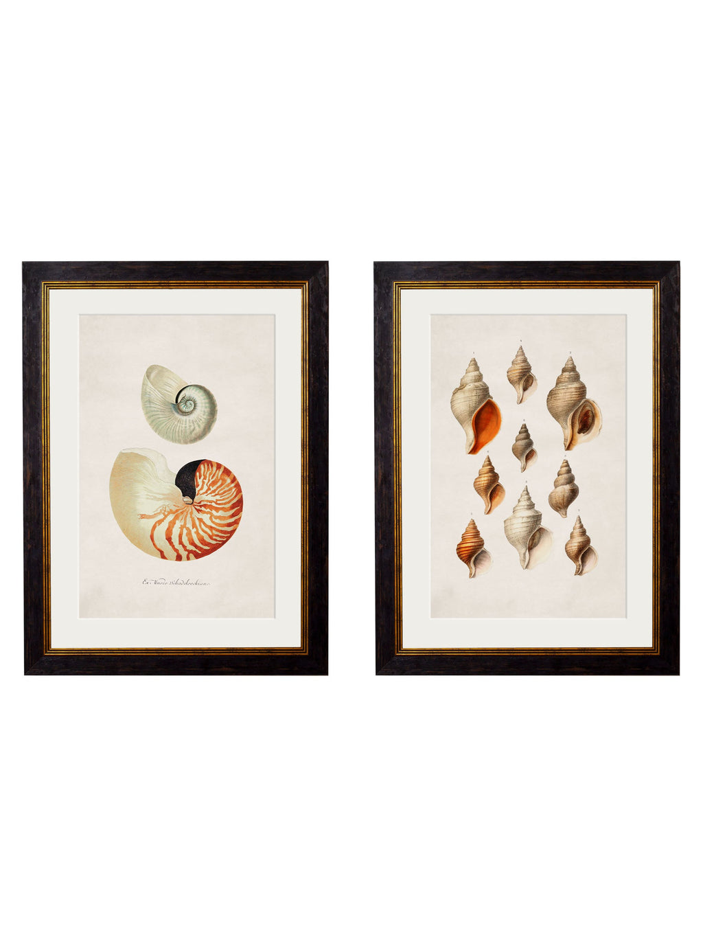 Two framed artworks on a white wall with natural light coming through a window.