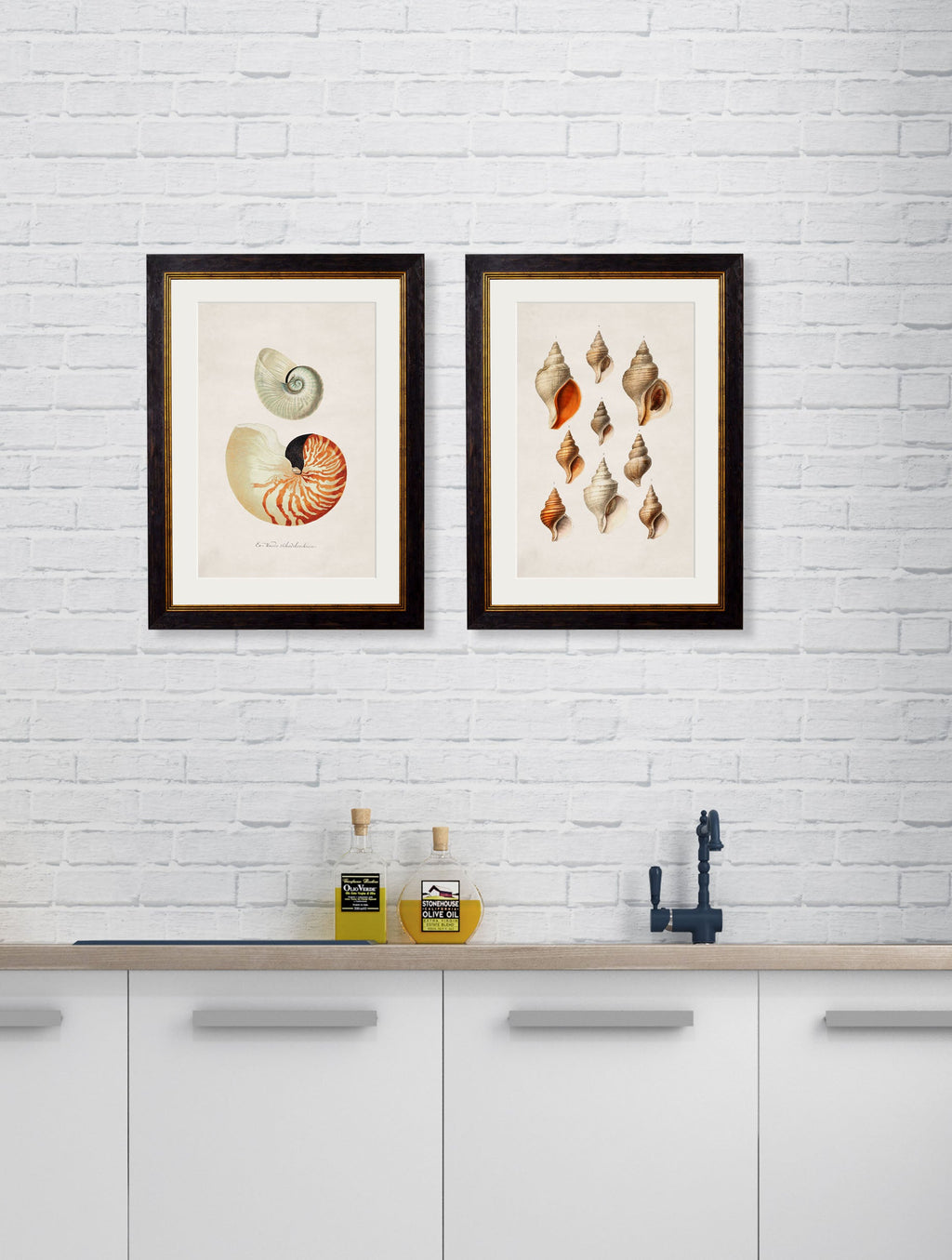 Two framed prints of shell illustrations on a white brick wall above a kitchen counter.