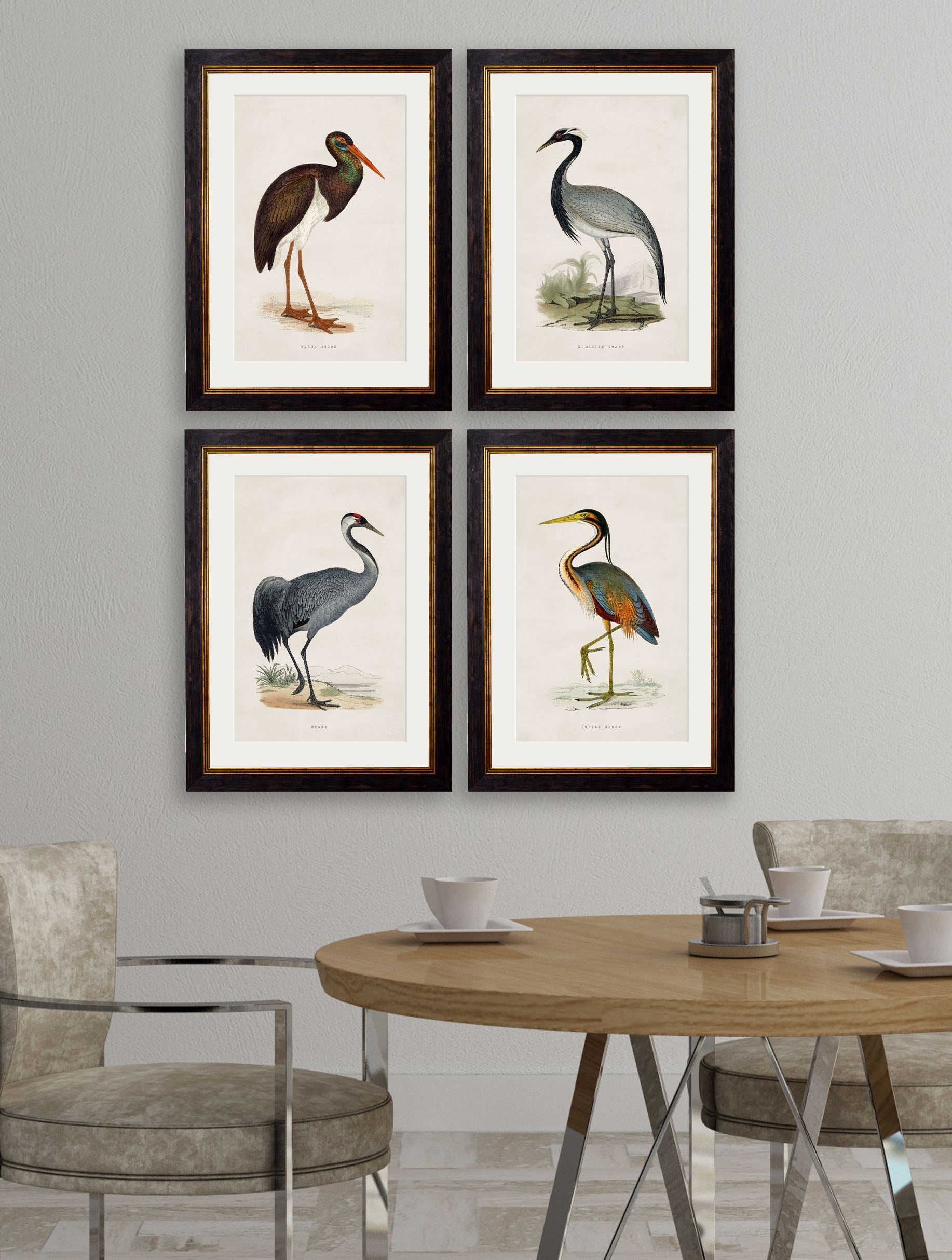 c.1850's British Wading Birds