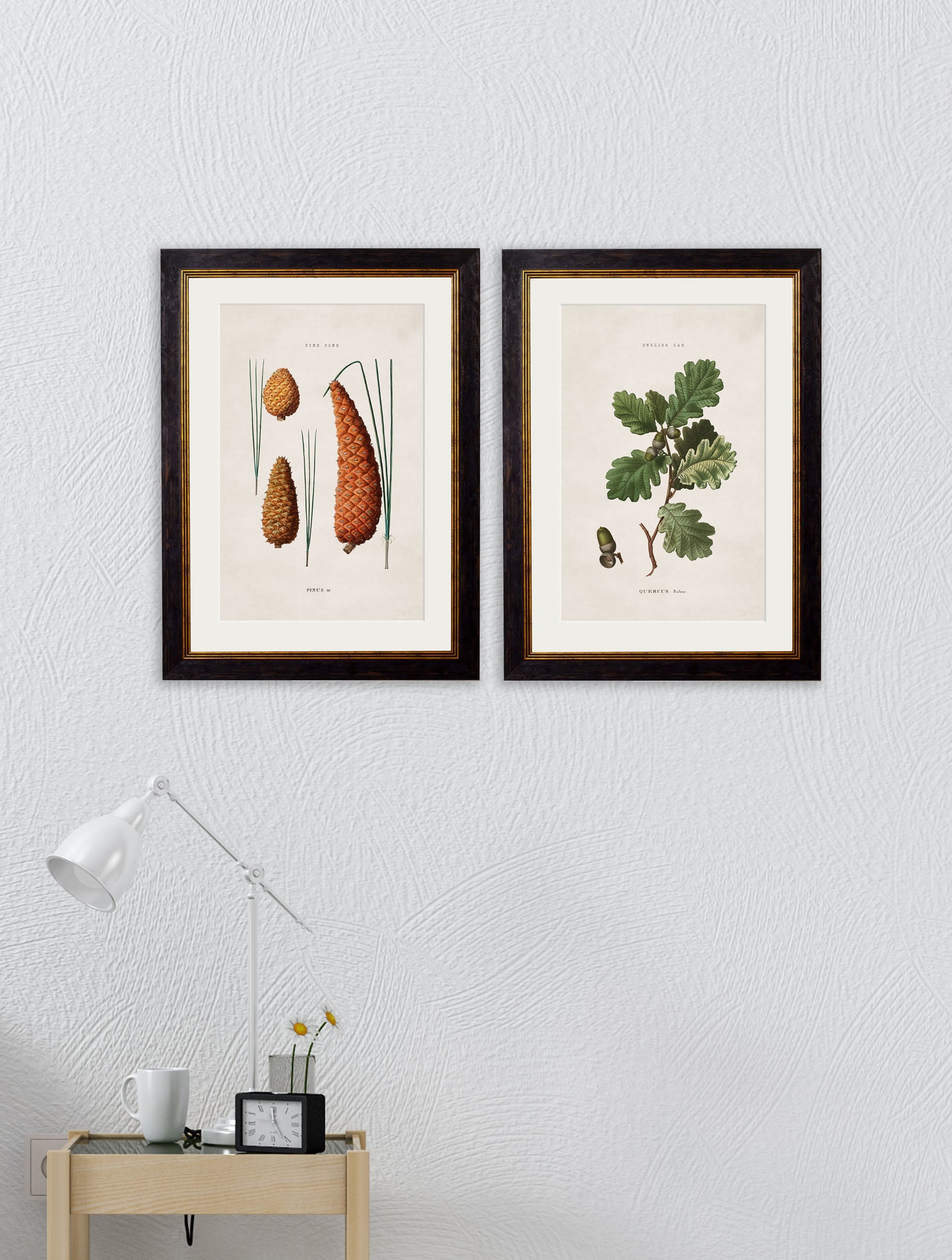 c.1819 Study of British Leaves and Pinecones | Vintage Botanical Framed Print